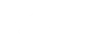 disney +